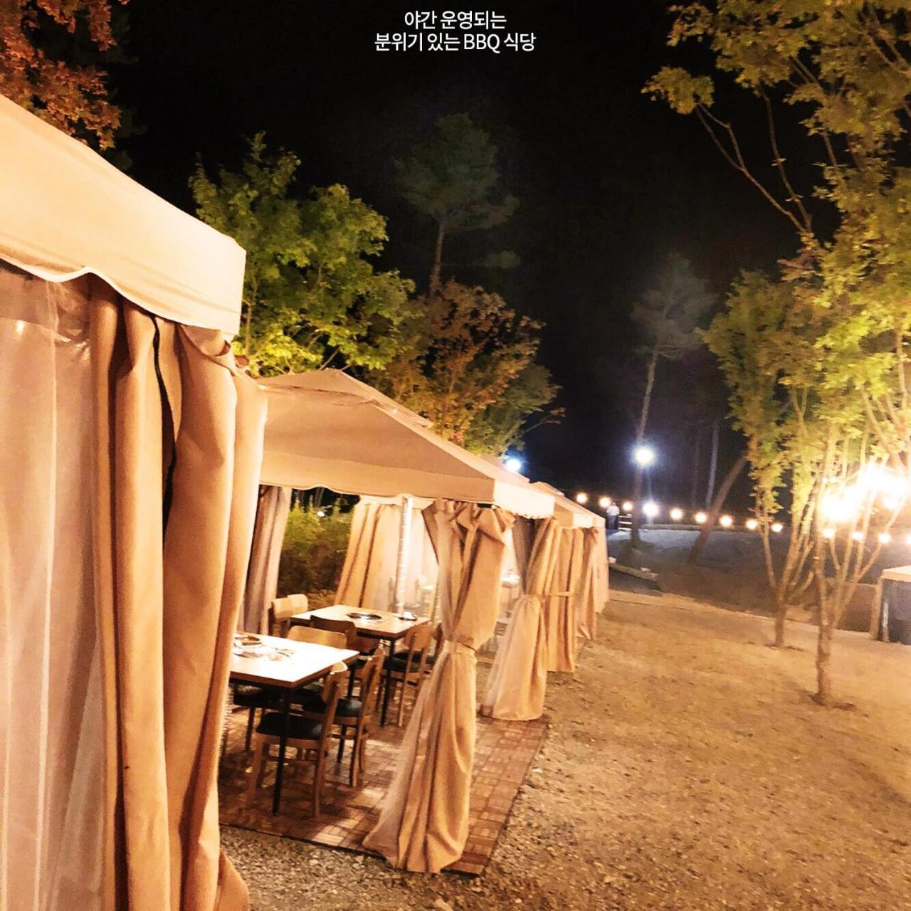 Pine Forest Jeongseon Alpine Resort Екстериор снимка